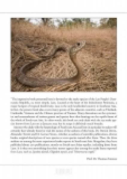 Preview: The Snake of Laos